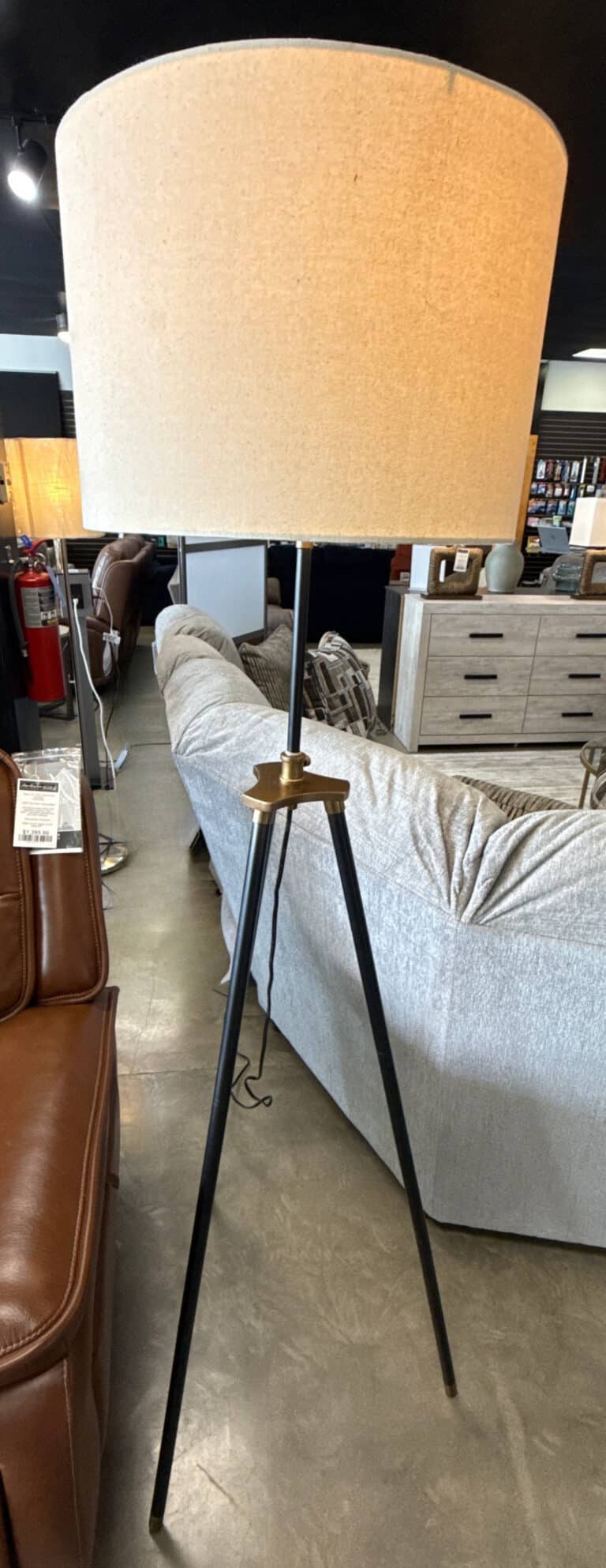 Cashner Metal Floor Lamp